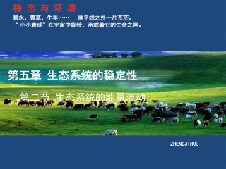 第二节 生态系统的能量流动