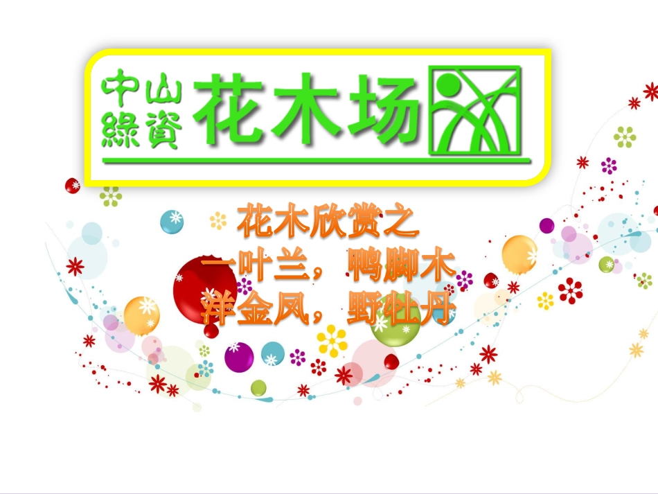 苗木,花木,绿化苗木,广东花卉之一叶兰,鸭脚木,洋金凤,野牡丹11_第1页