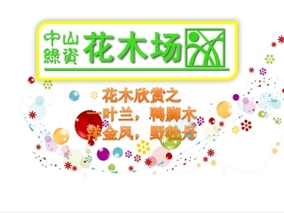 苗木,花木,绿化苗木,广东花卉之一叶兰,鸭脚木,洋金凤,野牡丹11