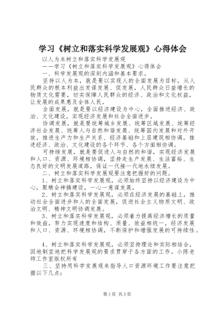 学习《树立和落实科学发展观》心得体会