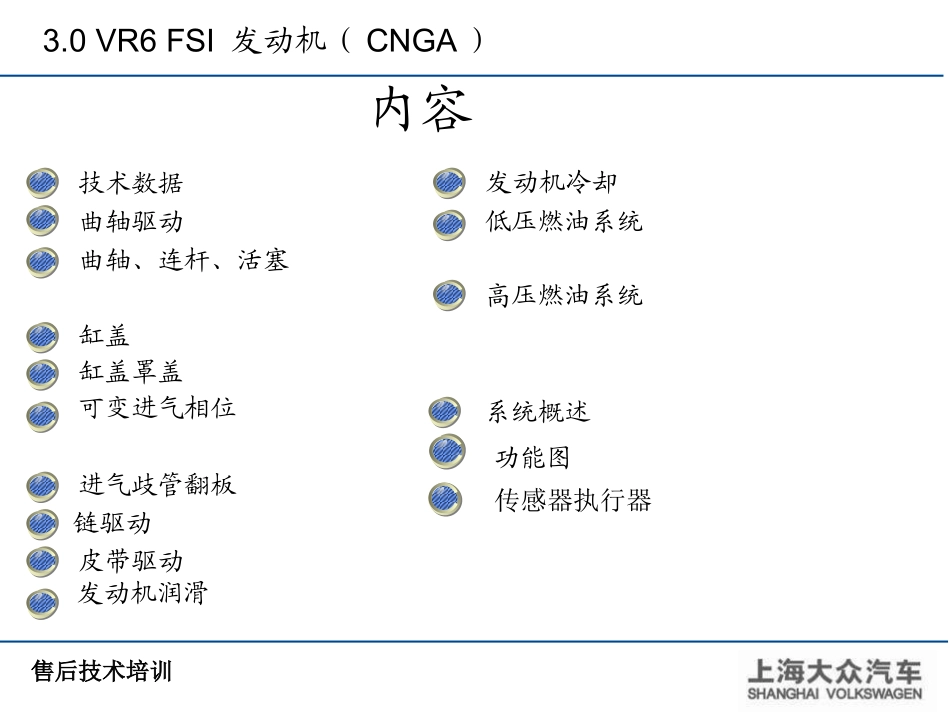 上海大众 3.0 VR6 FSI_第3页