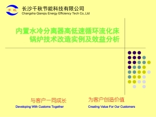 高低混合流速床锅炉技术应用范例