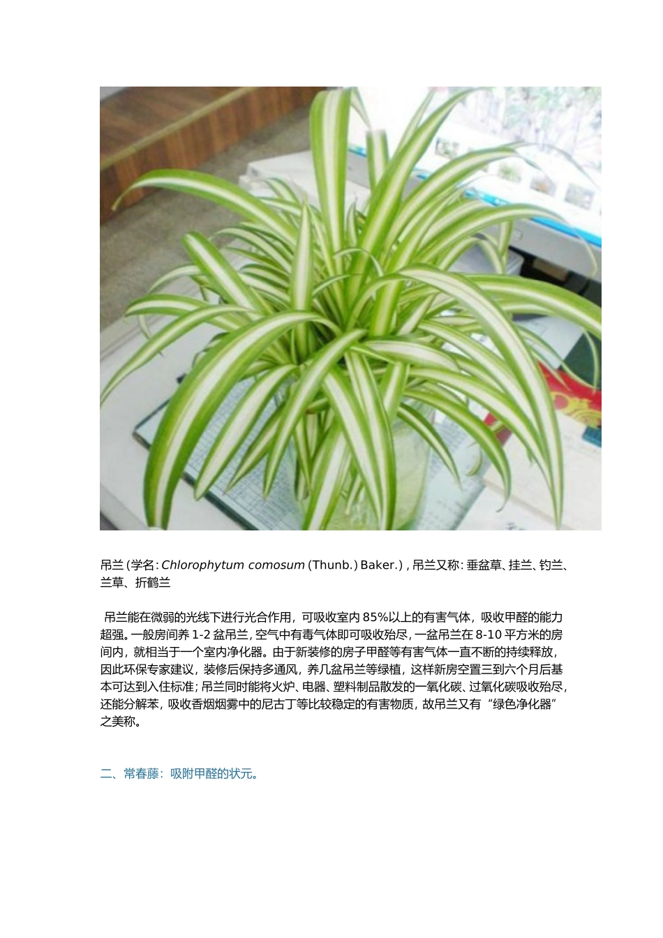 室内背景墙装饰与绿色植物的搭配_第2页