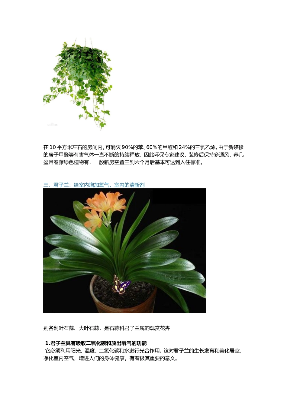 室内背景墙装饰与绿色植物的搭配_第3页