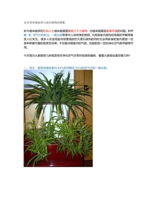 室内背景墙装饰与绿色植物的搭配
