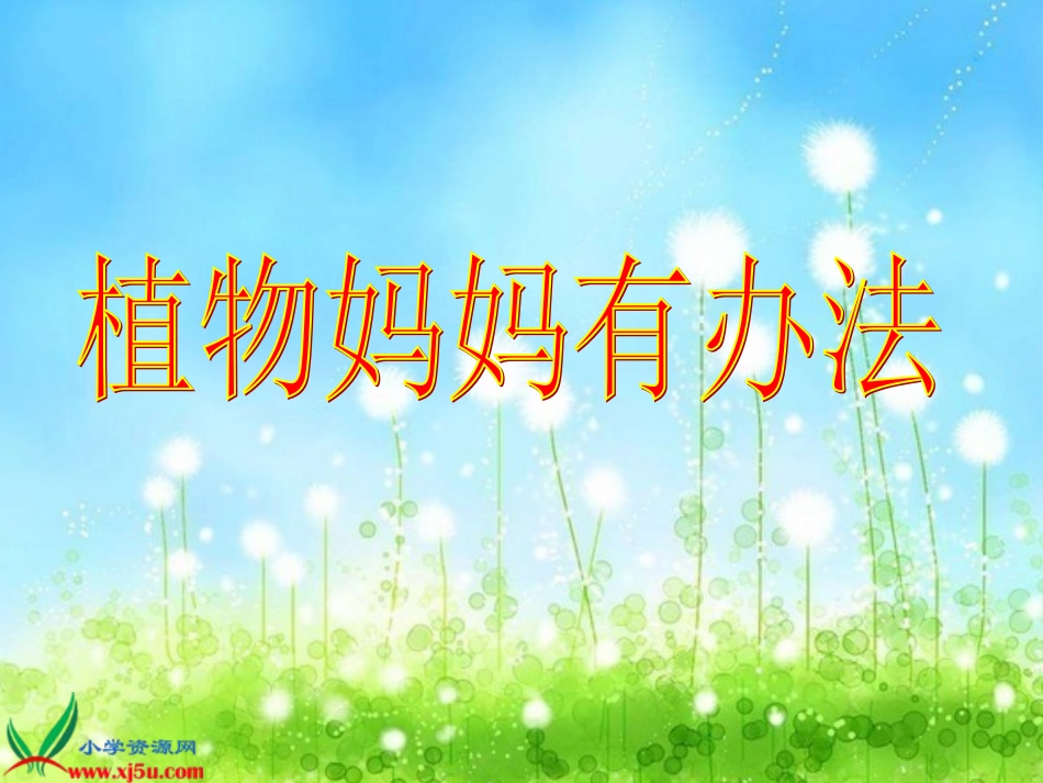 《植物妈妈有办法》_第1页