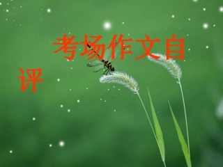 考场作文自评