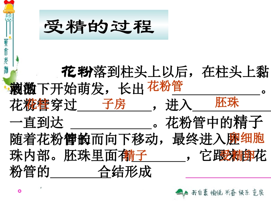 绿色植物与生物圈的水循环_第2页
