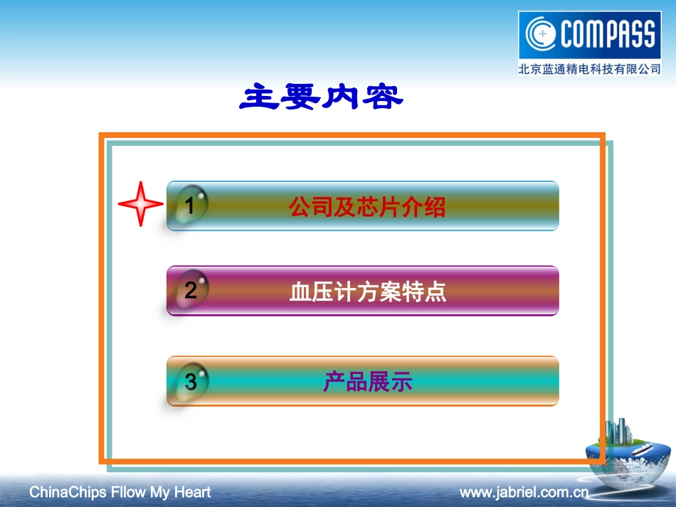 北京蓝通精电科技有限公司血压计解决方案_第2页