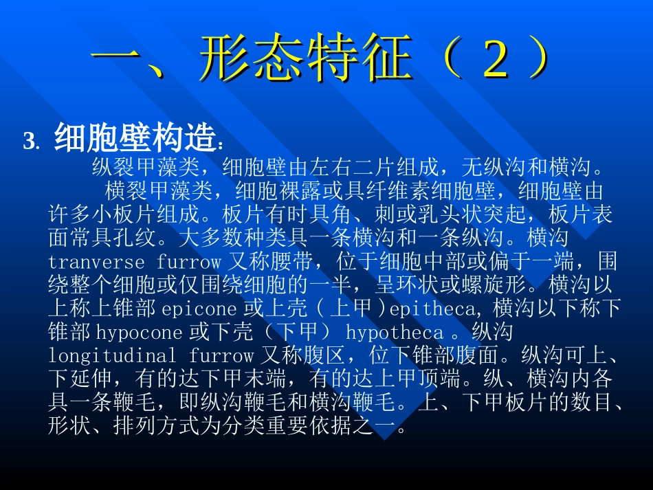 第七章 甲藻门_第3页