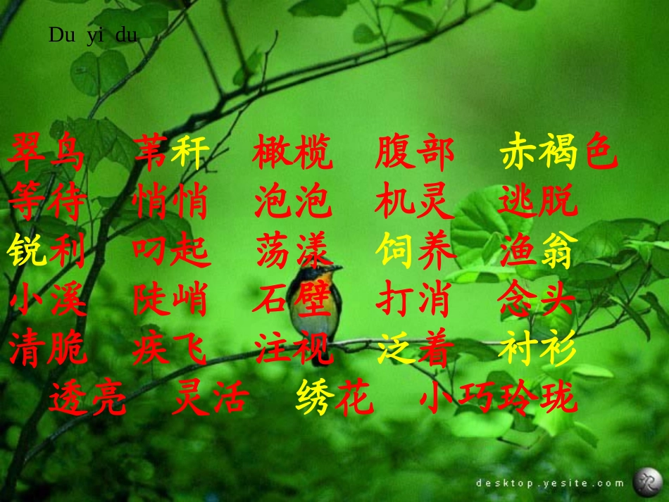 人教版三年级语文下册_5《翠鸟》课件_第2页