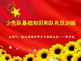 少先队基础知识和队礼仪训练郑宁远