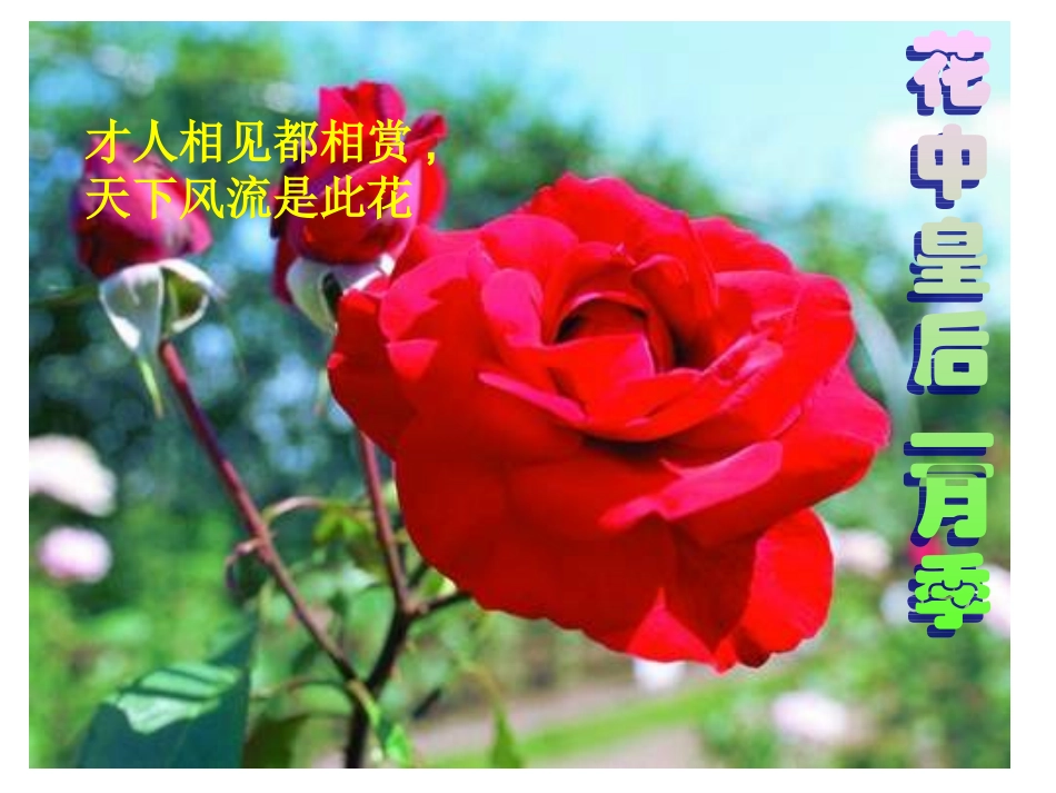 开花结果演示文稿_第3页