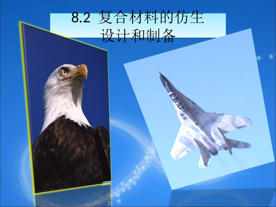 仿生复合 材料_第3页