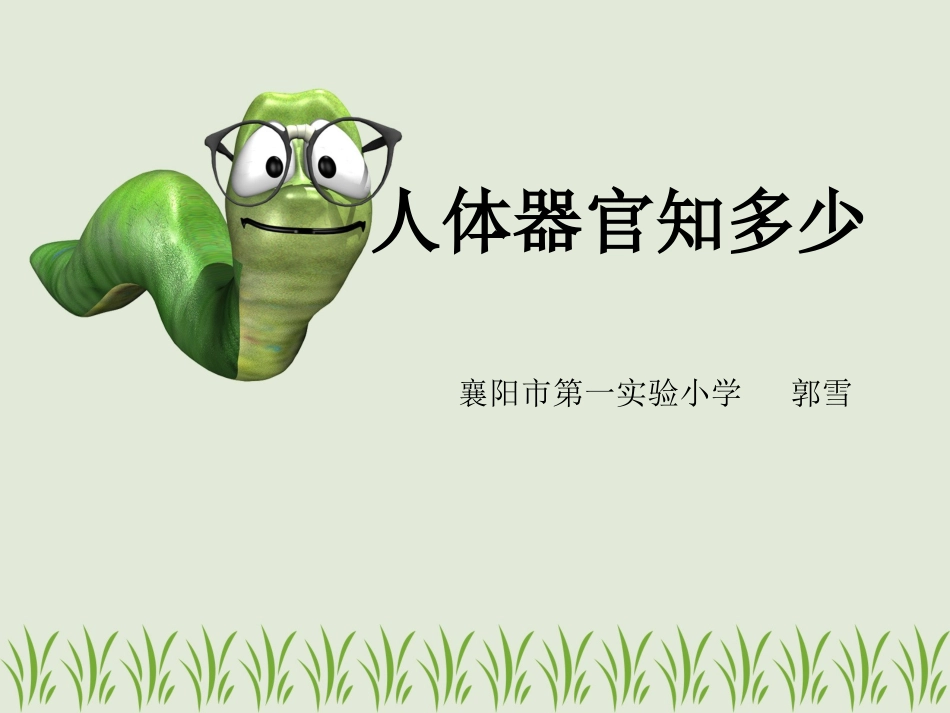 人体器官知多少_第1页
