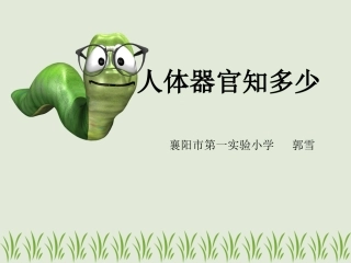 人体器官知多少