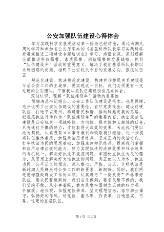 公安加强队伍建设心得体会