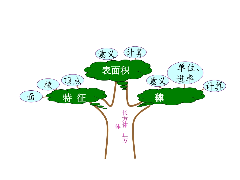 长方体和正方体_第3页