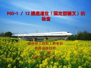 提速60-12号道岔实作比武
