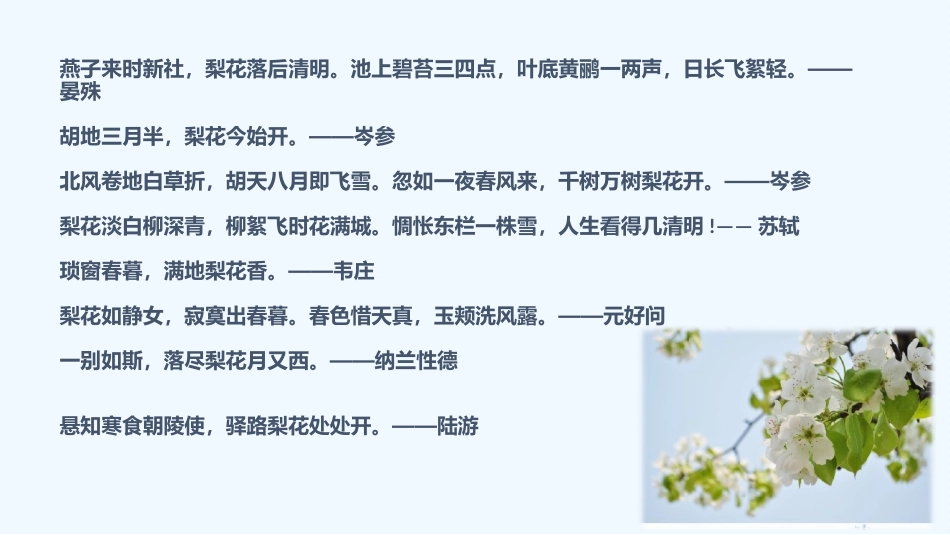 (部编)初中语文人教2011课标版七年级下册14驿路梨花-(2)_第2页