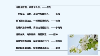 (部编)初中语文人教2011课标版七年级下册14驿路梨花-(2)