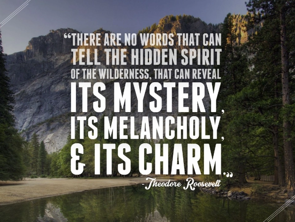 大气图文风景旅游PPT模板_第2页