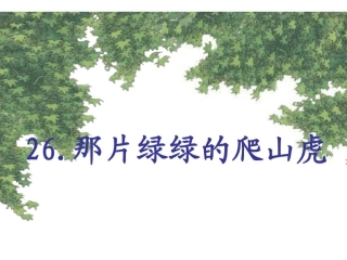 26.那片绿绿的爬山虎