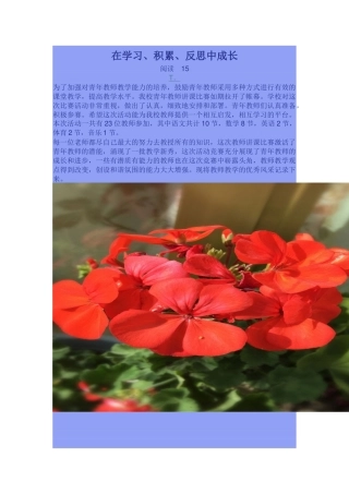 在学习、积累、反思中成长