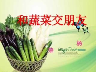 和蔬菜交朋友课件