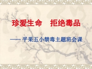 禁毒班会课件(20141212）