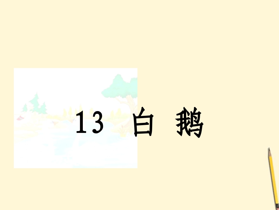 四年级语文上册13白鹅侯小艳_第1页