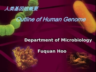 人类基因组概况