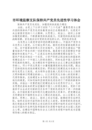市环境监察支队保持共产党员先进性学习体会