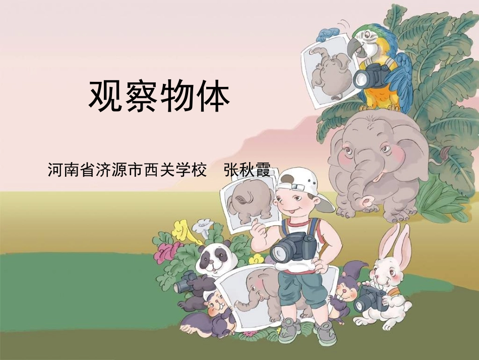 观察物体张秋霞_第1页