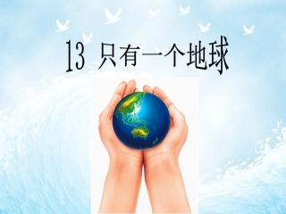 13《只有一个地球》课件
