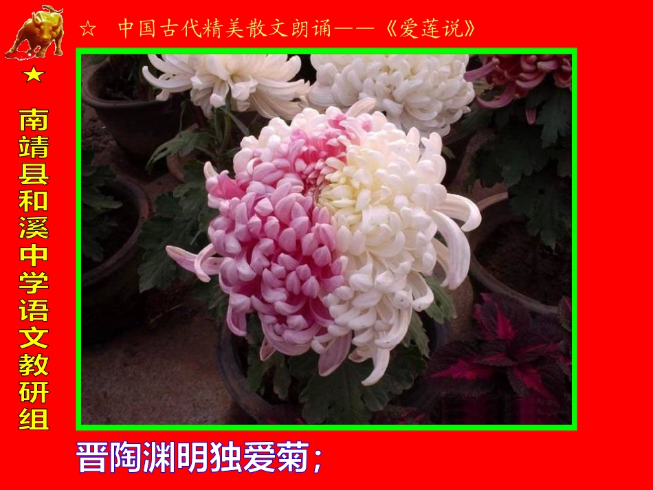 19、爱莲说_第3页