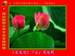 19、爱莲说