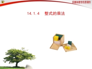 14.1.4整式的乘法.1.4整式的乘法-(2)