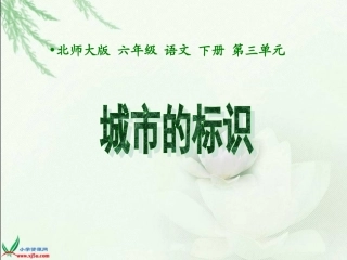 《城市的标识》课件PPT