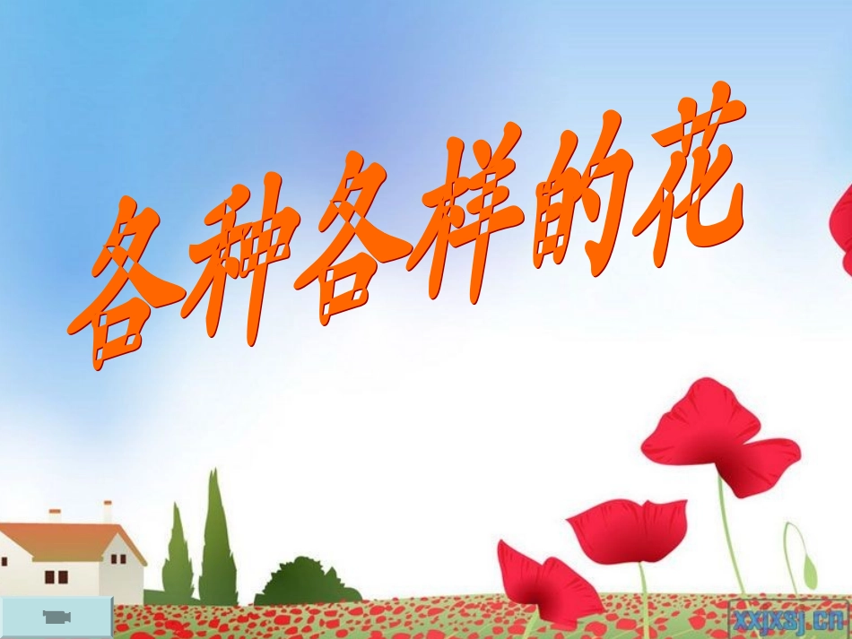 四年级科学下册《各种各样的花》课件_第2页