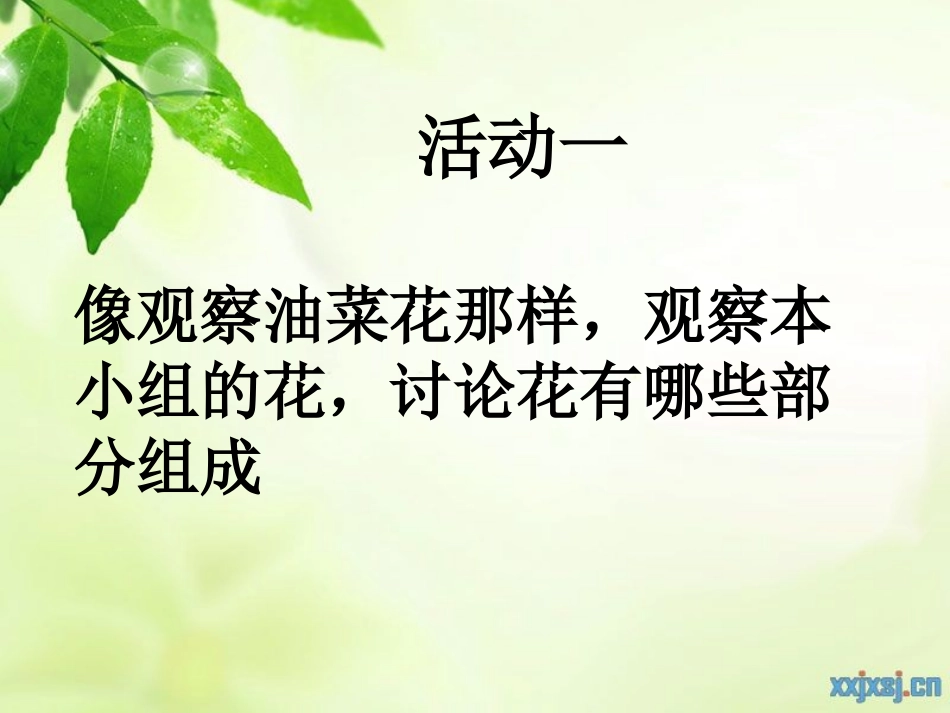 四年级科学下册《各种各样的花》课件_第3页