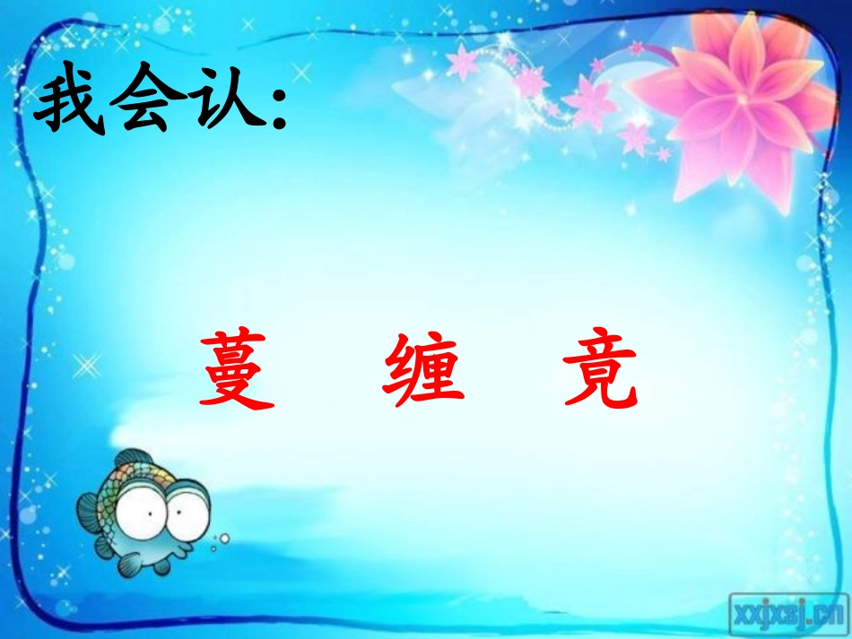 《一次有趣的观察》课件_第3页