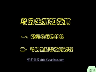 《鸟类的生殖和发育》课件