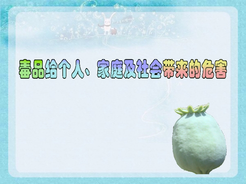 毒品给个人、家庭及社会带来的危害_第1页