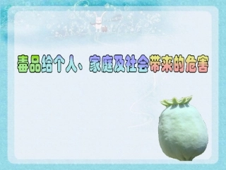 毒品给个人、家庭及社会带来的危害