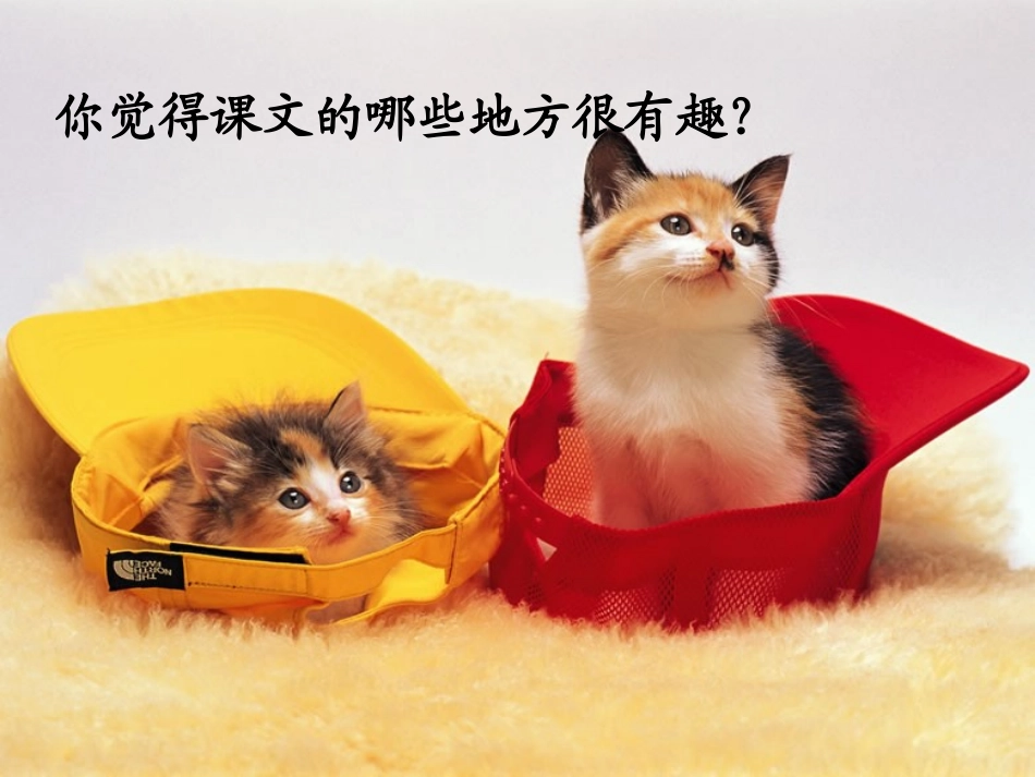 卡罗尔和她的小猫_第2页