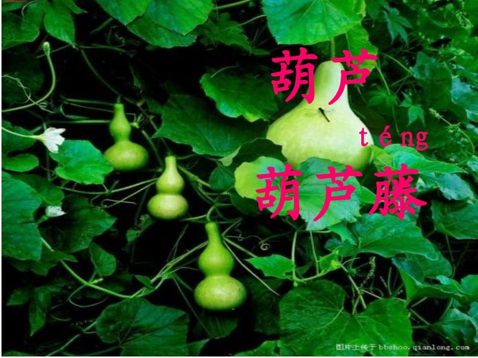 14我要的是葫芦2_第1页