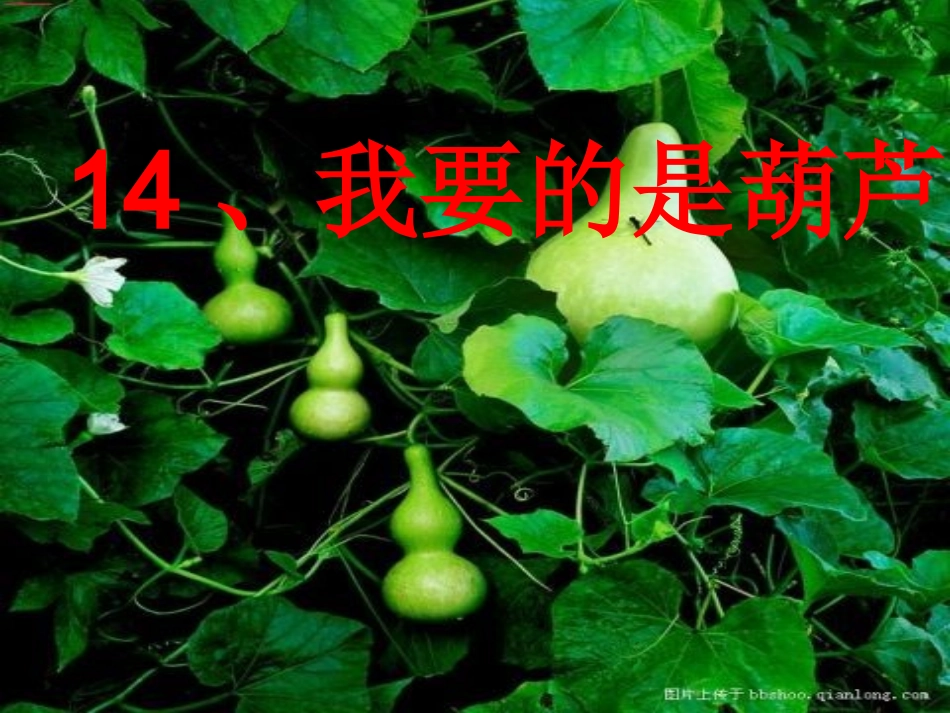 14我要的是葫芦2_第2页