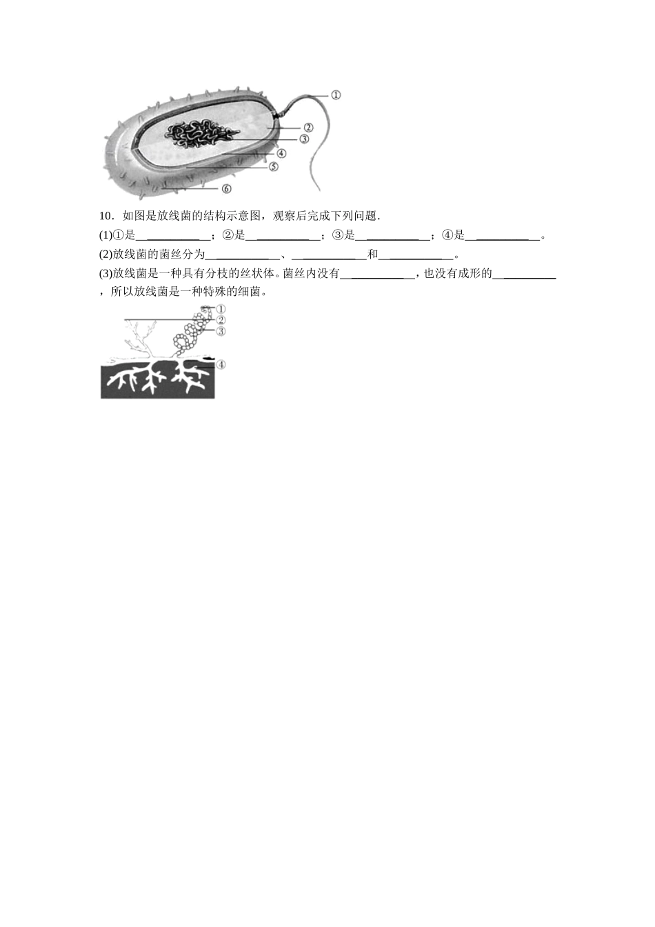 《第2节-土壤里的微生物》同步练习2_第2页
