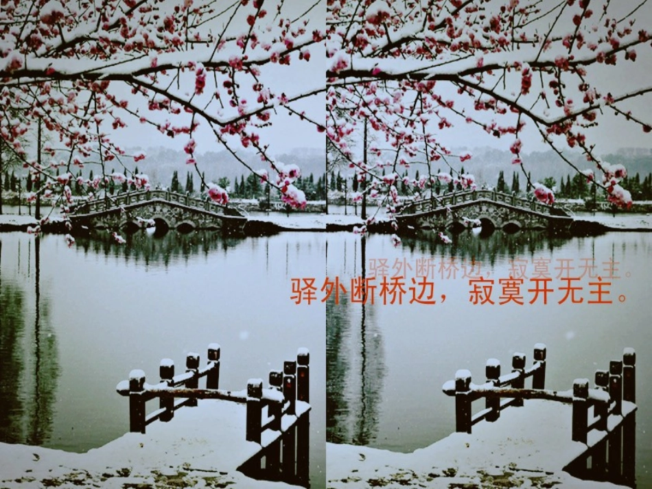 04.卜算子咏梅_第2页